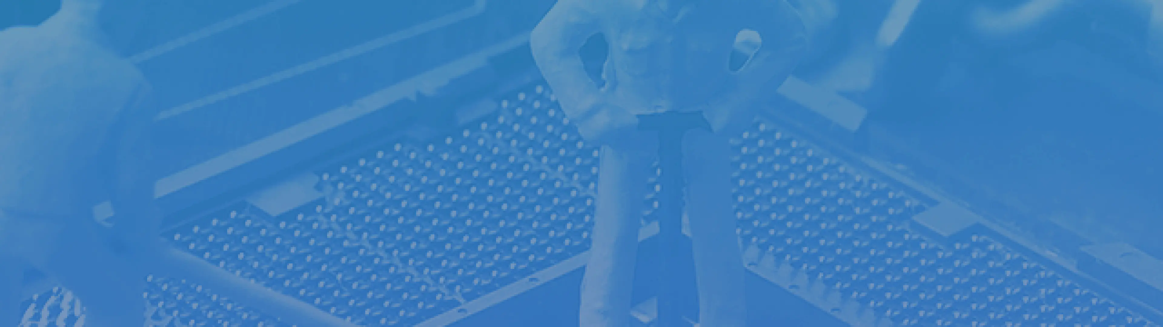 Cedar Mobile Background